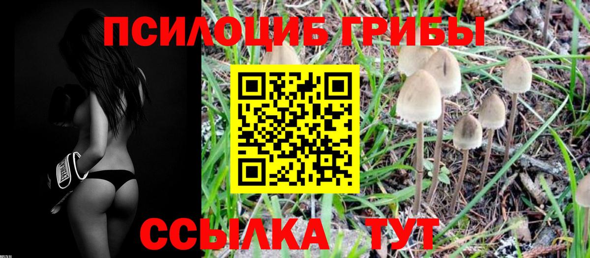 Псилоцибиновые грибы мицелий Назрань